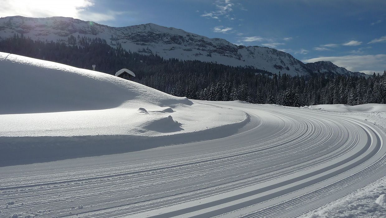 Decouvrez Le Plateau Des Glieres Domaine Nordique Des Glieres